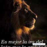 arielzampa chico soltero en José León Suárez