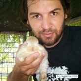 gustavor chico soltero en Carhué