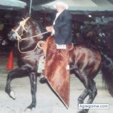 LuisVelez65 chico soltero en Santa Inés