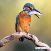 Foto de perfil de jesusantonio6192