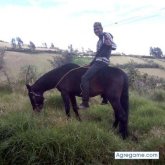 chupaloochupelo chico soltero en Ponedera