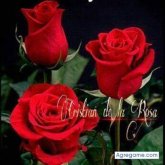 Chatear con Sael85 de Comalcalco