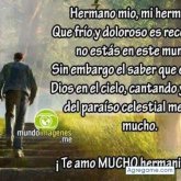 Ricardo Andrade, Chico de Fairfield para Chicos en Agregame.