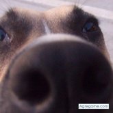rusbyn foto #12