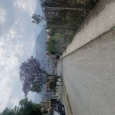 Mujeres ………. Soltero ……….