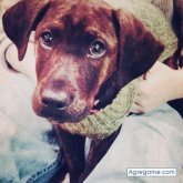 andrewheise chico soltero en 