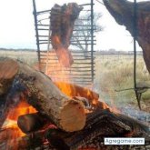 Sigobuscodote chico separado en San Antonio Oeste