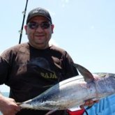 Un amigo para chatear. Hombre sencillo.