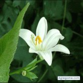 Chatear con omar3019 de Petapa