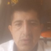 Vitolio43694292