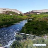 pedroeduardo1870 chico soltero en Calama