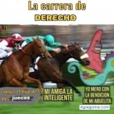 LicMartin chico separado en Colón Querétaro De Arteaga