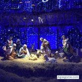 barackrachel chico soltero en 