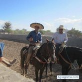 animalwawawa chico soltero en Monterrey
