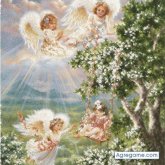 siverbon chico separado en Soto La Marina