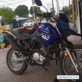 Lobons chico soltero en Guaduas