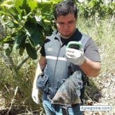 Foto de perfil de jose141419