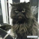 alberto883hd foto #8