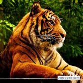 Chatear con richardmota de San José De Guanipa