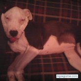 Carlos1369 chico soltero en Pánuco De Coronado