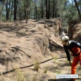 mikuo_hatsune_2 foto #26