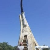 Foto de perfil de lucasslucas