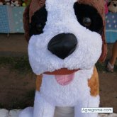 canenoe chica soltera en Ayolas