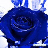 SANGREAZTEKA foto #120