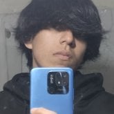insanodel