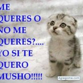 valentinsanchez foto #9