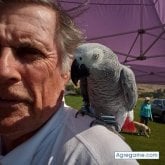 Busco ligar. Mujeres. Quiero una linda