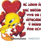 nelson301989 foto #25