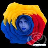 euglydislucelia foto #24
