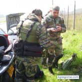 diegoMurdock foto #8