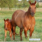 editsontorrealba chico soltero en Santo Domingo Este