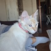 Foto de perfil de Txbhcccg