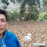 Busco pareja. Algre y esducado. La