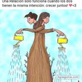 estebanibarra chico soltero en Rojas