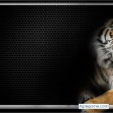 Chatear con CHRISTIANGUERRA12345 de Ciudad Bolívar