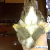 wapi20 chica soltera en Córdoba