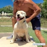 Foto de perfil de Victor959