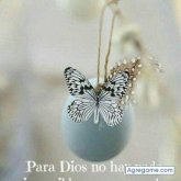 davidrojas6387 chico soltero en Quito