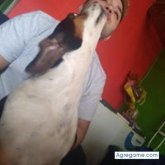 Ver fotos más de emilianonanco