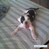 thor foto #38
