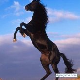 CHIQUI35 chico soltero en Berga