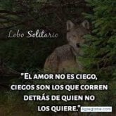 Lobo Solitario