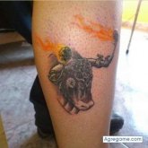 albertoembid chico soltero en Fuentes De Ebro