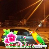 Chatear con hernancalderon5107 de Nauta