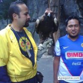 luis fer
