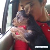 Chatear con Gendryck_Narvaez de Cumaná